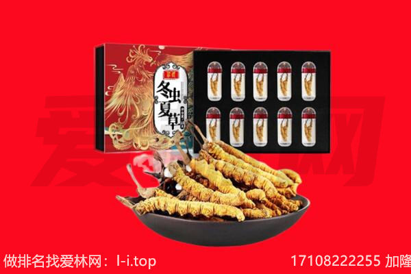 柳州市回收虫草.jpg
